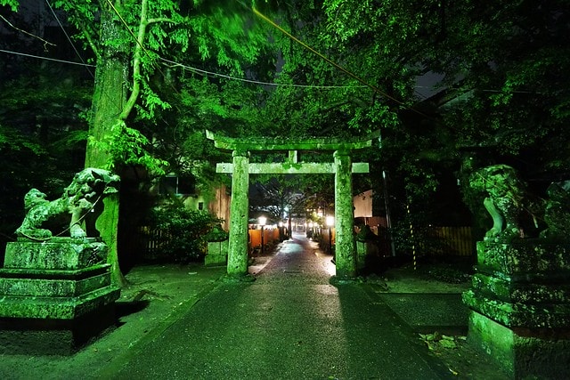 20251102-sqssh 20251102-sqssh