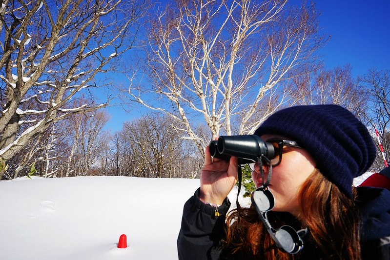 20251102-ssq35 20251102-ssq35