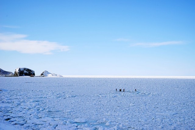 20251102-x95bx 20251102-x95bx