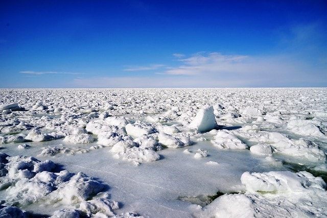 20251102-z44cm 20251102-z44cm