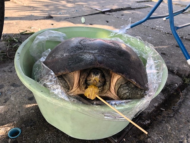 20251102-48c82 20251102-48c82