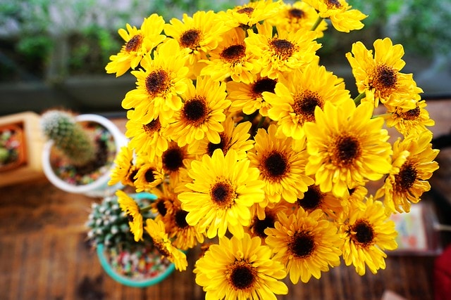 20251102-8tloy 20251102-8tloy