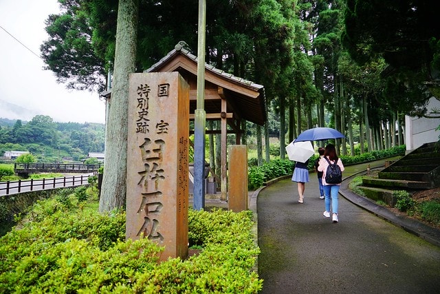 20251102-dvi3d 20251102-dvi3d