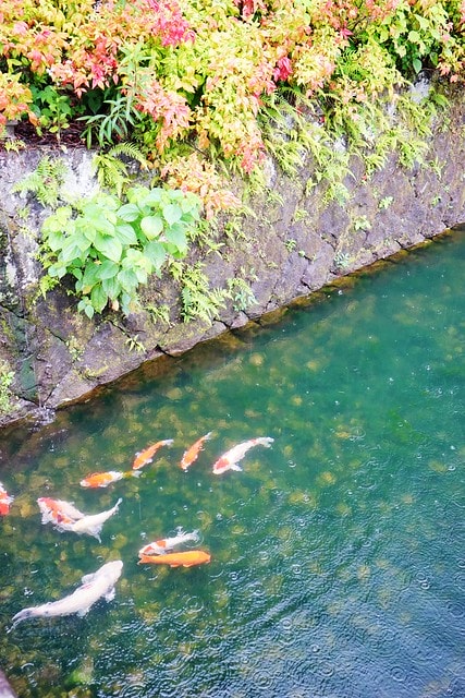 20251102-eaakw 20251102-eaakw