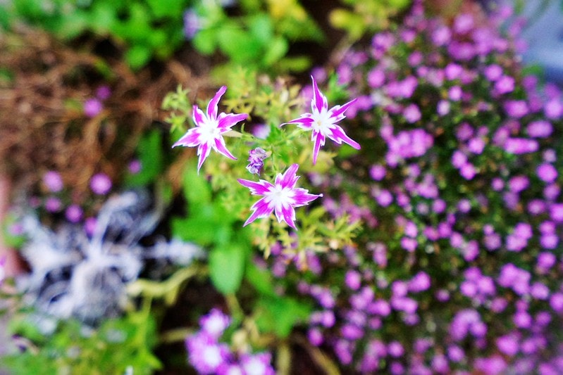 20251102-hnuqd 20251102-hnuqd