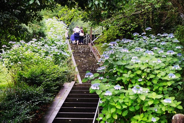 20251102-khplq 20251102-khplq