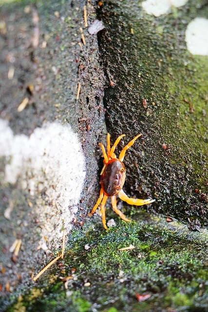 20251102-matb4 20251102-matb4