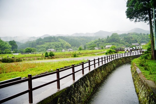 20251102-v0rnk 20251102-v0rnk