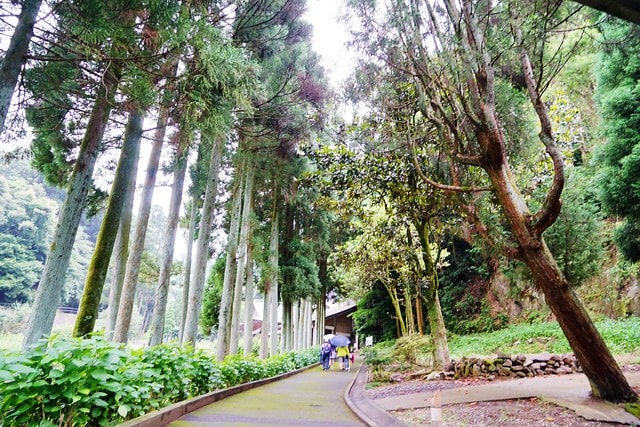 20251102-wbzmj 20251102-wbzmj