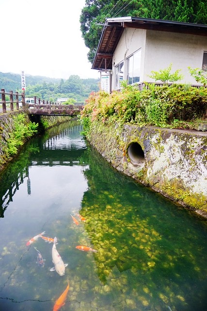 20251102-z652c 20251102-z652c