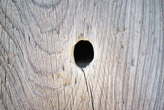 20251102-jeyud 20251102-jeyud