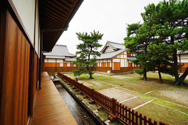 20251102-kqw7n 20251102-kqw7n