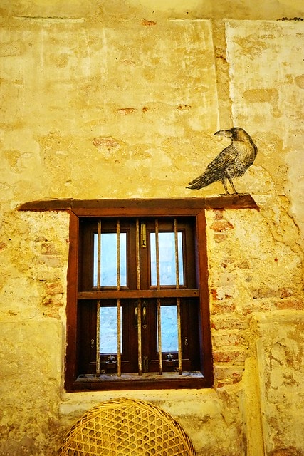 20251102-mp19l 20251102-mp19l