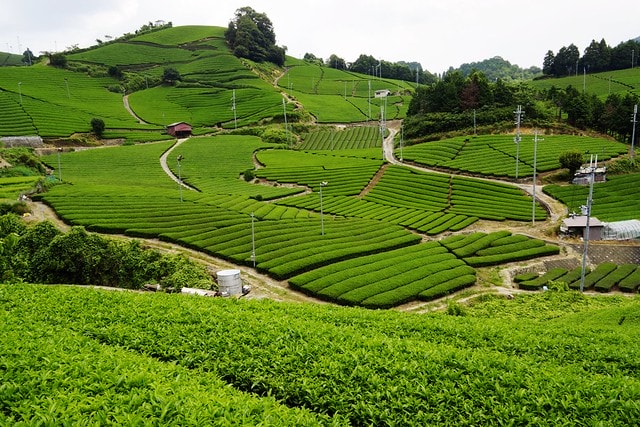 20251102-27zll 20251102-27zll