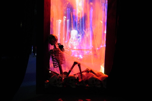 20251102-2zkz3 20251102-2zkz3