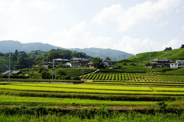 20251102-3fnks 20251102-3fnks