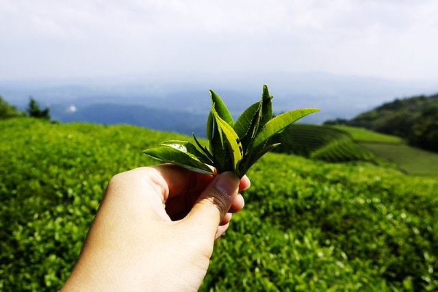 20251102-7w41m 20251102-7w41m