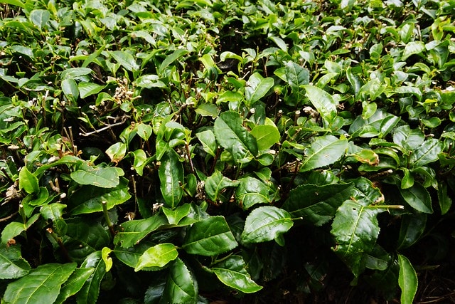 20251102-ae0jl 20251102-ae0jl