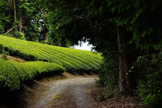 20251102-aivp1 20251102-aivp1