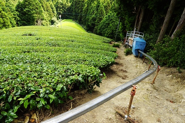 20251102-an03q 20251102-an03q