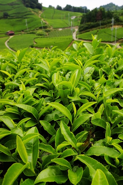 20251102-awm27 20251102-awm27