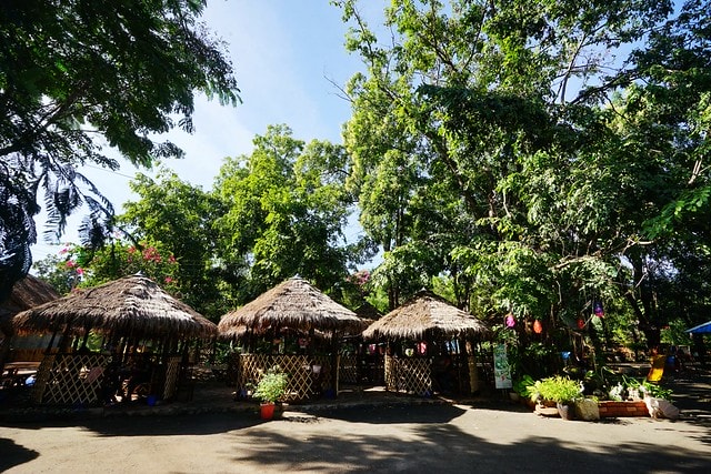 20251102-bp40q 20251102-bp40q