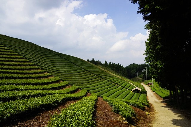 20251102-ggdb9 20251102-ggdb9