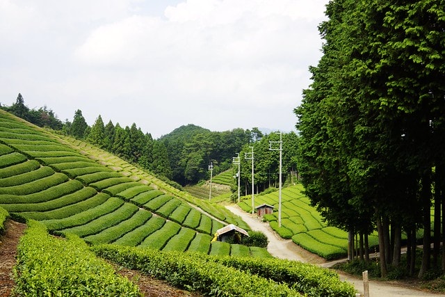 20251102-idk2z 20251102-idk2z