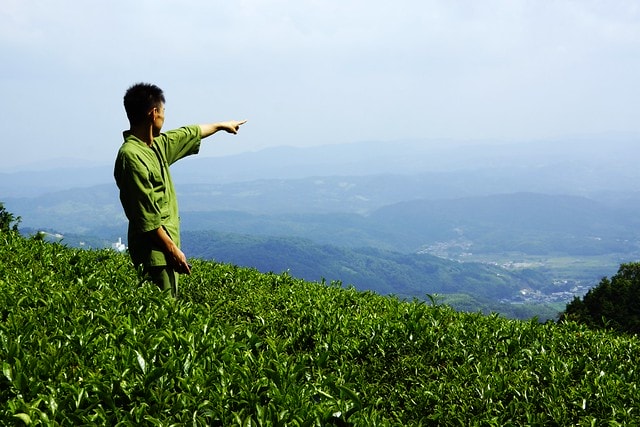 20251102-k6hkn 20251102-k6hkn