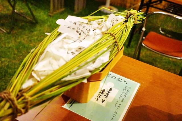 20251102-kp5j5 20251102-kp5j5