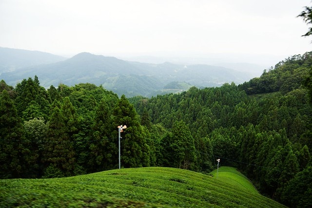 20251102-qmufz 20251102-qmufz