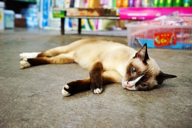 20251102-r0tqr 20251102-r0tqr