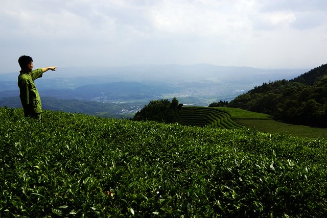 20251102-tmd3d 20251102-tmd3d