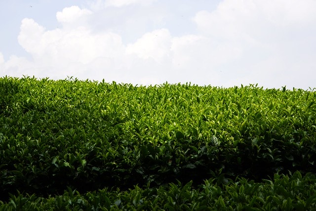 20251102-wtlgj 20251102-wtlgj