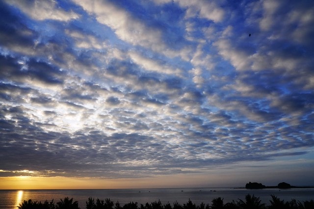 20251102-emst2 20251102-emst2