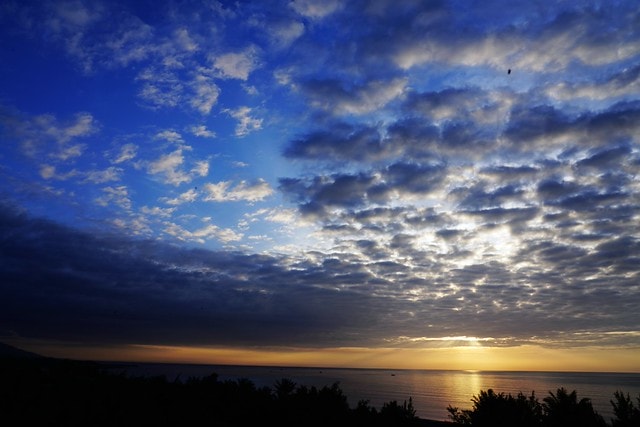 20251102-x1rdn 20251102-x1rdn