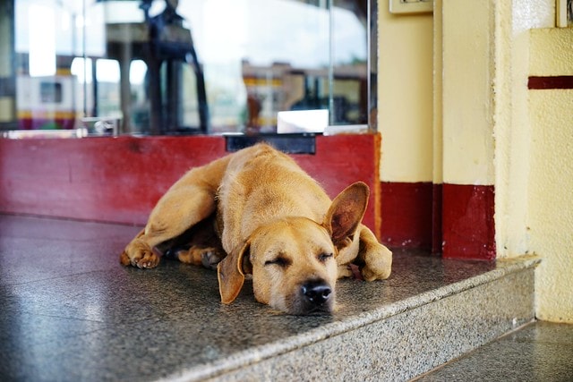 20251102-zoooc 20251102-zoooc