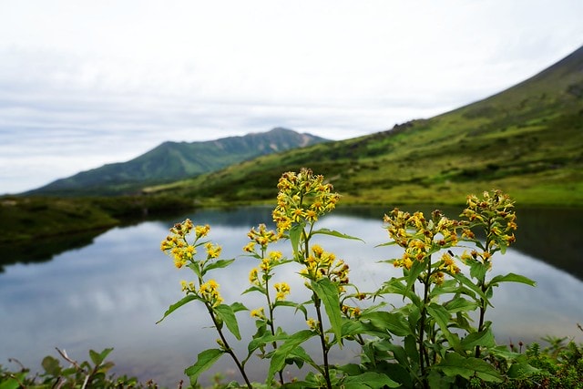 20251102-027dm 20251102-027dm