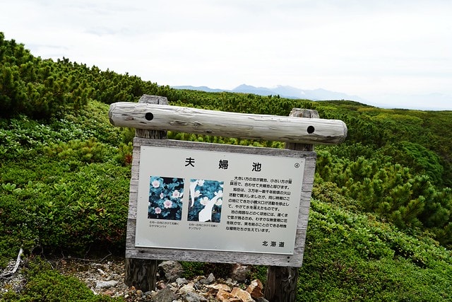 20251102-0ontb 20251102-0ontb