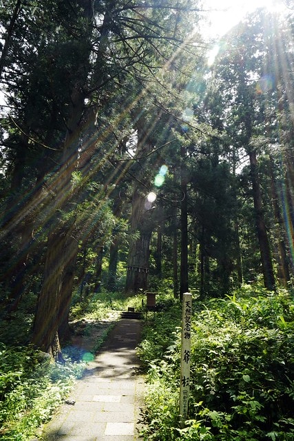 20251102-0rl8o 20251102-0rl8o