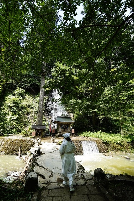 20251102-2s94t 20251102-2s94t