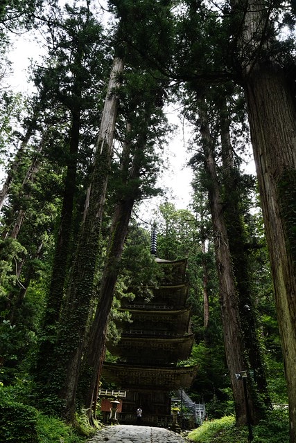 20251102-46pt6 20251102-46pt6