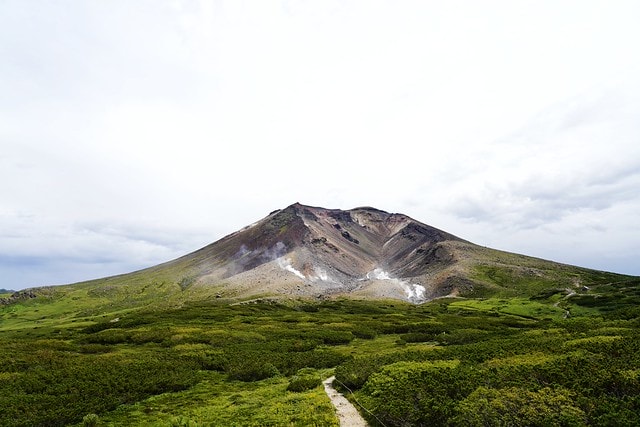 20251102-495bt 20251102-495bt