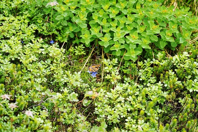 20251102-4keki 20251102-4keki