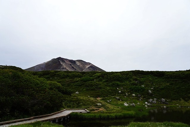 20251102-4li0x 20251102-4li0x