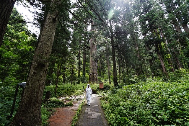 20251102-4ogw1 20251102-4ogw1