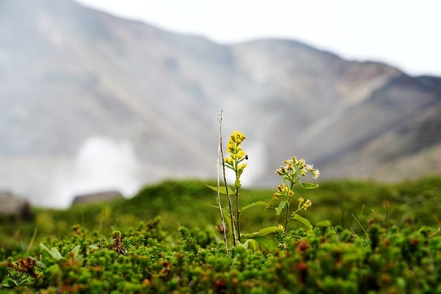 20251102-5u3hl 20251102-5u3hl