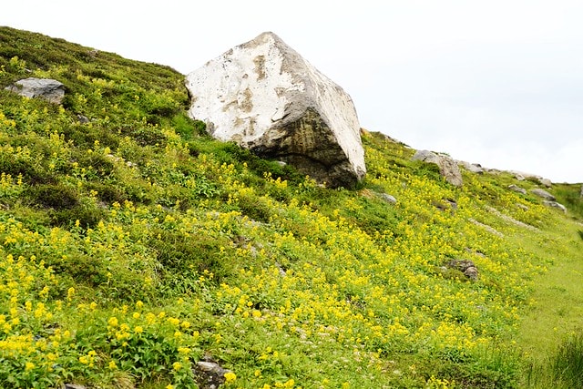 20251102-7qcpo 20251102-7qcpo