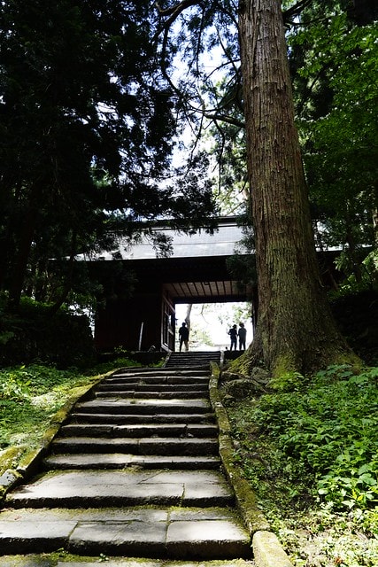 20251102-8dy96 20251102-8dy96