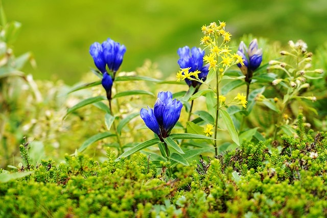 20251102-9e9is 20251102-9e9is